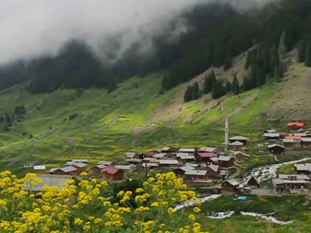 Elevit Yaylası